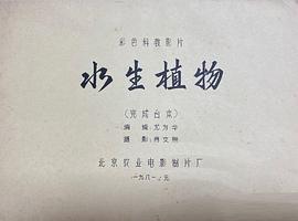 水生植物 圖3
