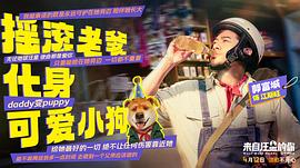 來自汪星的你 圖3