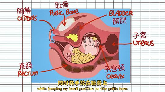 猪屁登坑爹视频