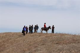 盘龙卧虎高山顶什么意思 图4