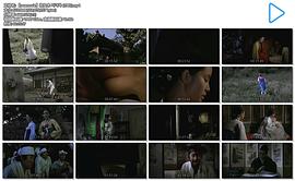 恣女木 圖6