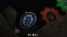 網(wǎng)絡(luò)直播 圖9