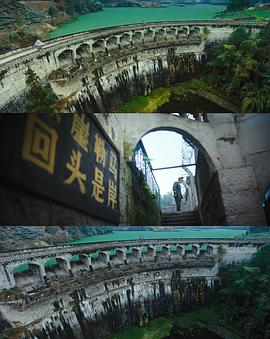 借命而生 图5
