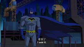 极限蝙蝠侠 图6