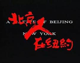北京人在纽约 图3