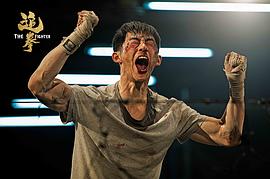 追拳 圖6