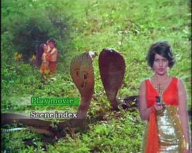 90年代印度电影 图2