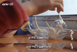 人生第二次 圖8