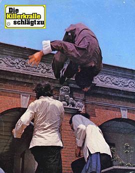 神拳霸腿追魂手 圖4