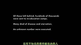 纪录片在越南最后的日子 图6