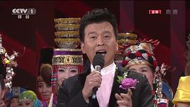 2011年中央電視臺春節(jié)聯(lián)歡晚會 圖1