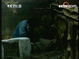 鐵鷹行動 圖3