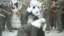 非洲超人 圖8