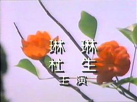 野浪花 圖2