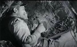 科扎拉之戰(zhàn) 圖5