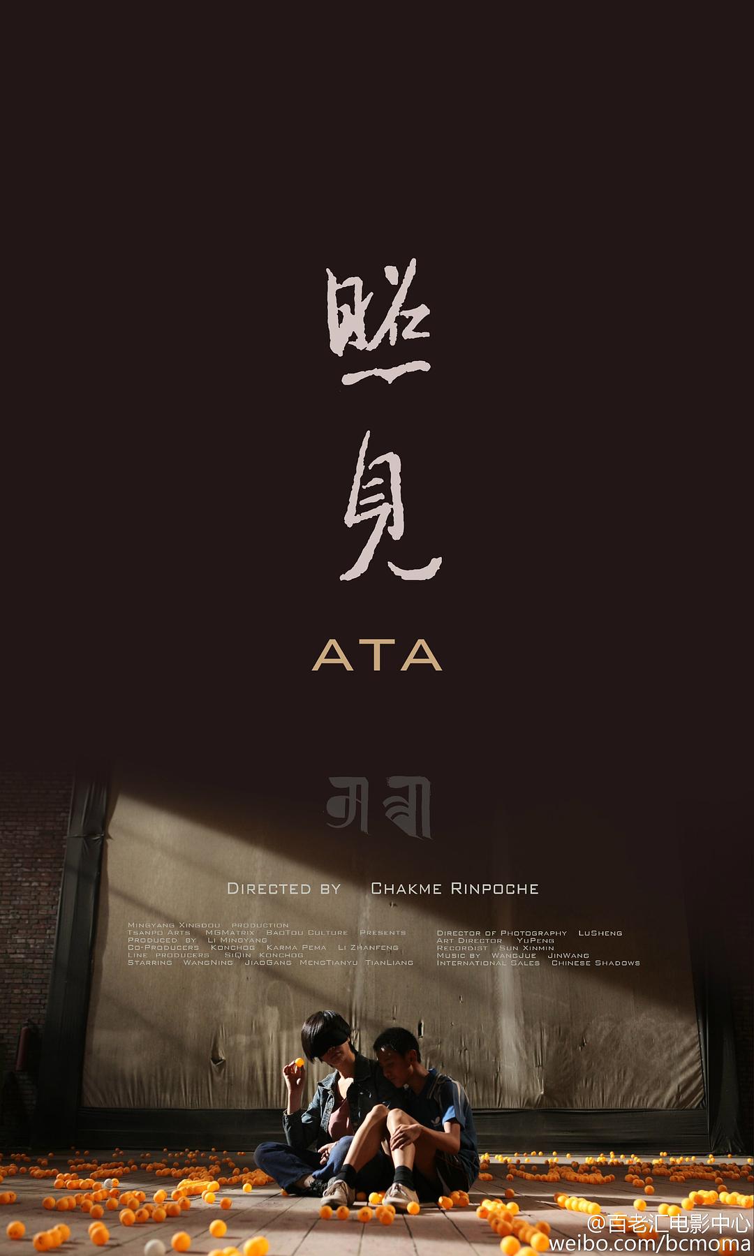 照見