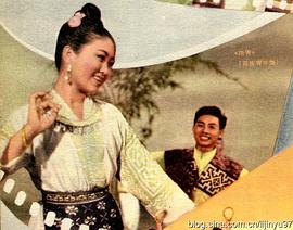 彩蝶紛飛 圖1