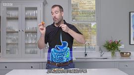碳水化合物的真相 圖1