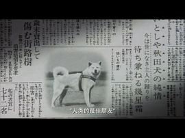 日本忠犬八公中文版 图4