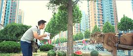 斗战胜佛 图5