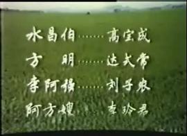 春苗 圖5