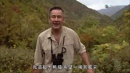 馬文的熊貓王國(guó)歷險(xiǎn)記 圖5