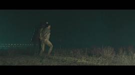 野獸 圖6