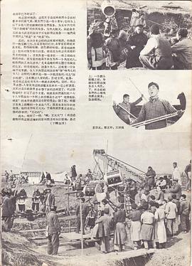 布谷鳥又叫了 圖4
