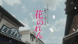 花暖帘 图5
