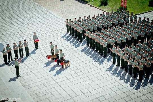 神犬奇兵电视剧全集免费观看高清