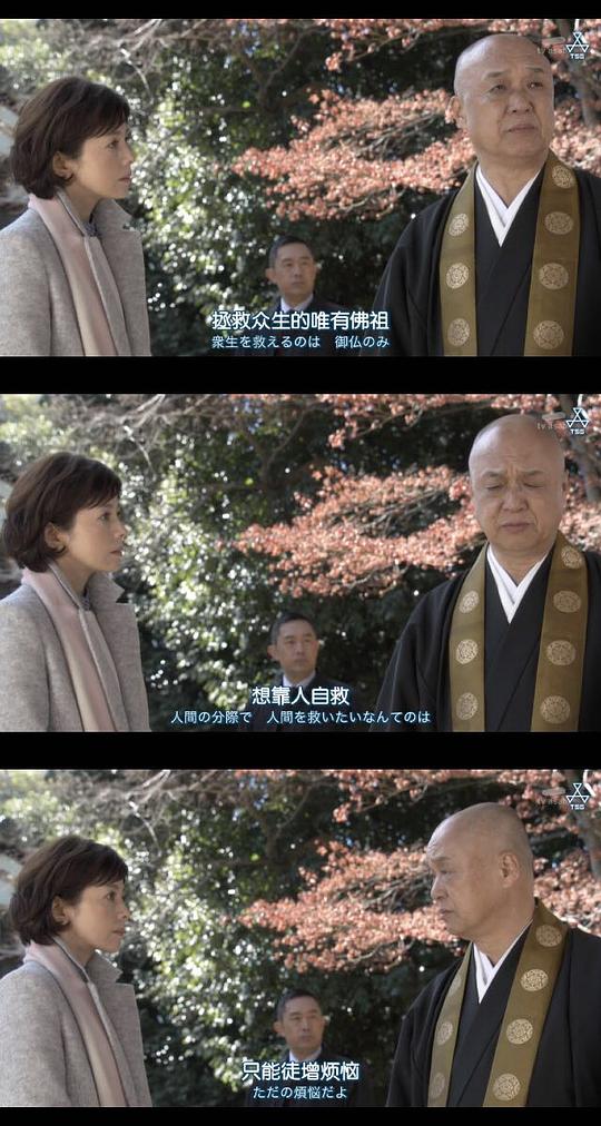 科搜研之女16季劇情