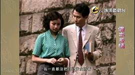 1996年热播的电视剧 图4