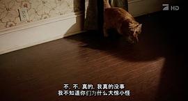 老婦殺手 圖7