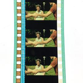 伍德斯托克音樂節(jié)1999 圖5