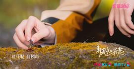 南风知我意 图9