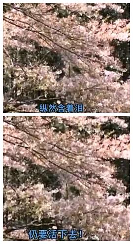 含淚活著 圖2