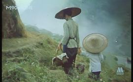 良家婦女劇情 圖2