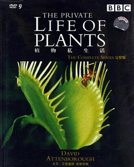 植物私生活 圖1