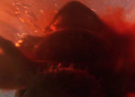 日本一部变异鱼的电影 图8