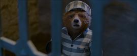 美国一部关于熊的动画电影 图4