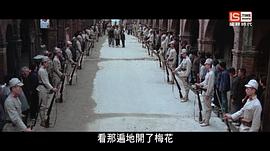 梅花 圖3