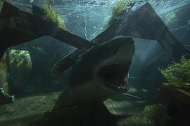 大浪白鲨 电影 图10
