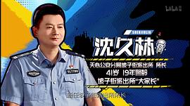 警中英雄电视剧全集 图9