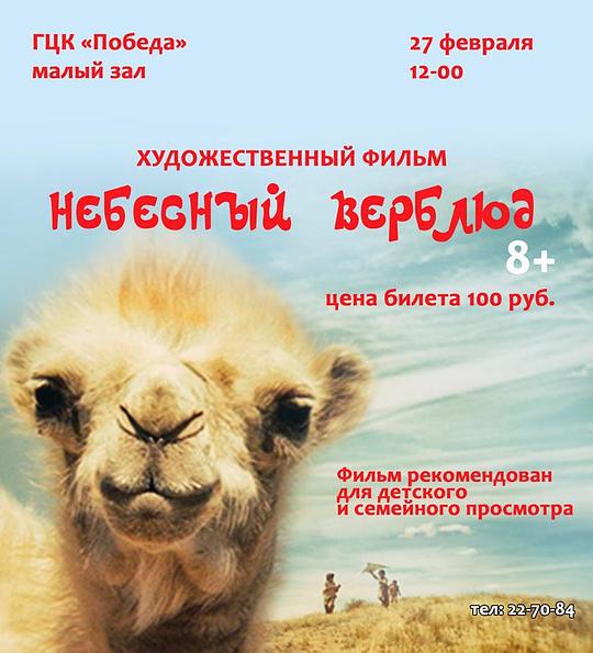 天上的骆驼是俄罗斯的