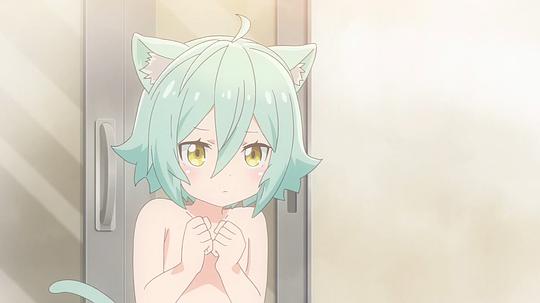 貓娘樂園動畫在線看