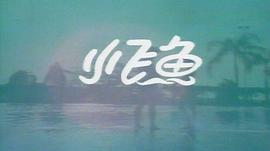 小飛魚 圖4
