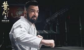 葉問(wèn)4在線觀看完整版 圖8