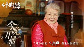 什剎海 圖10