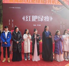 紅肥綠瘦 圖6