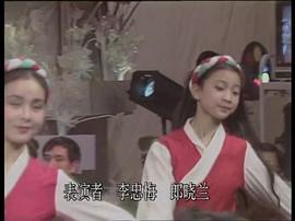 1988年中央电视台春节联欢晚会 图5